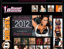 Tablet Screenshot of boostbunny.com